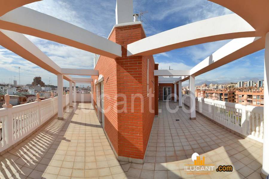Alicante,Alicante,España,3 Bedrooms Bedrooms,3 BathroomsBathrooms,Atico,21808
