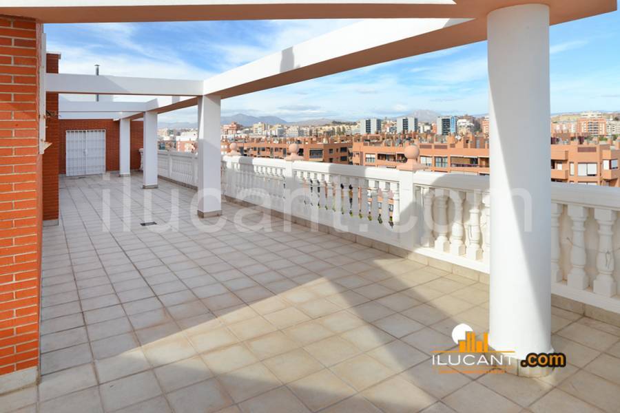 Alicante,Alicante,España,3 Bedrooms Bedrooms,3 BathroomsBathrooms,Atico,21808
