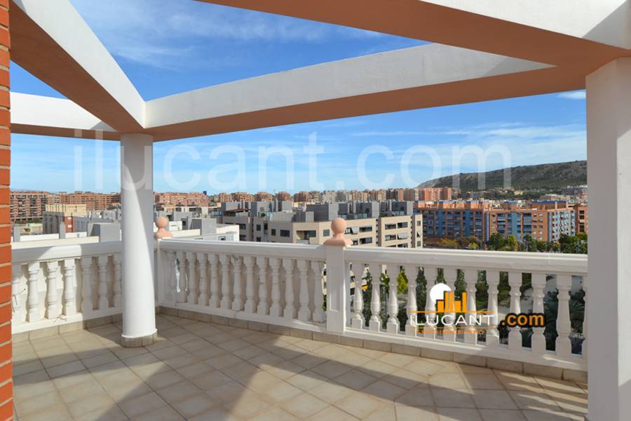 Alicante,Alicante,España,3 Bedrooms Bedrooms,3 BathroomsBathrooms,Atico,21808