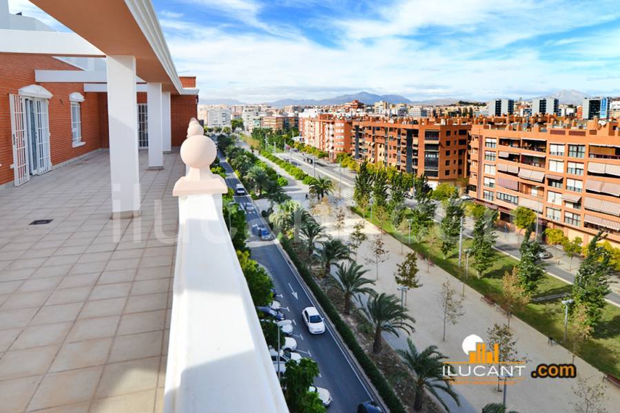 Alicante,Alicante,España,3 Bedrooms Bedrooms,3 BathroomsBathrooms,Atico,21808