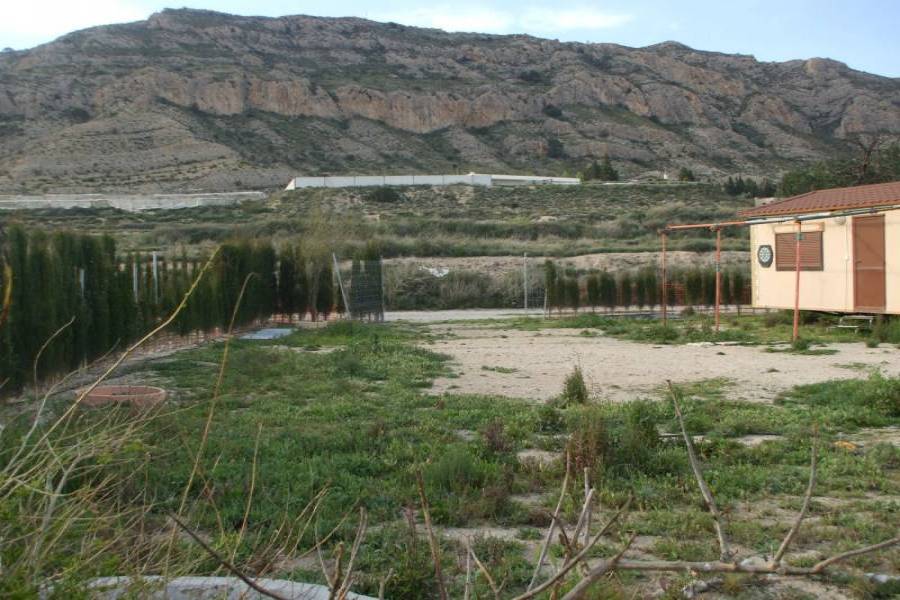 Agost,Alicante,España,Lotes-Terrenos,21812