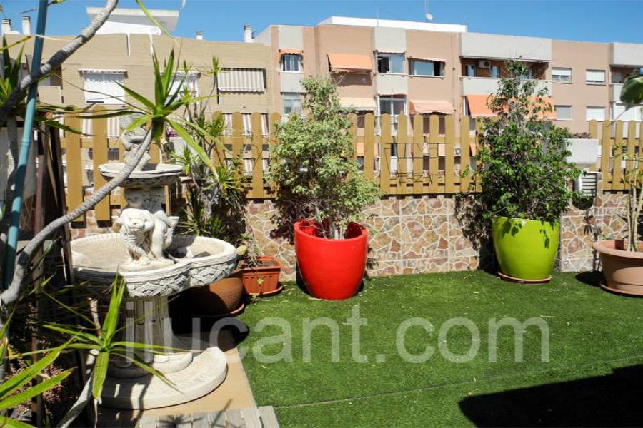Alicante,Alicante,España,3 Bedrooms Bedrooms,2 BathroomsBathrooms,Atico,21813