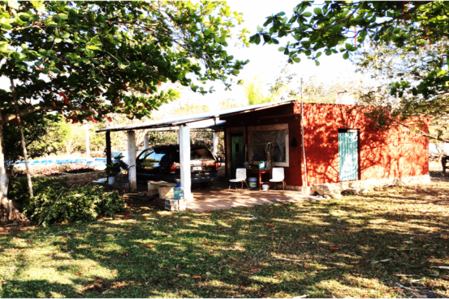 Mérida,Yucatán,México,Chacras-Quintas,TEKANTÓ,2989