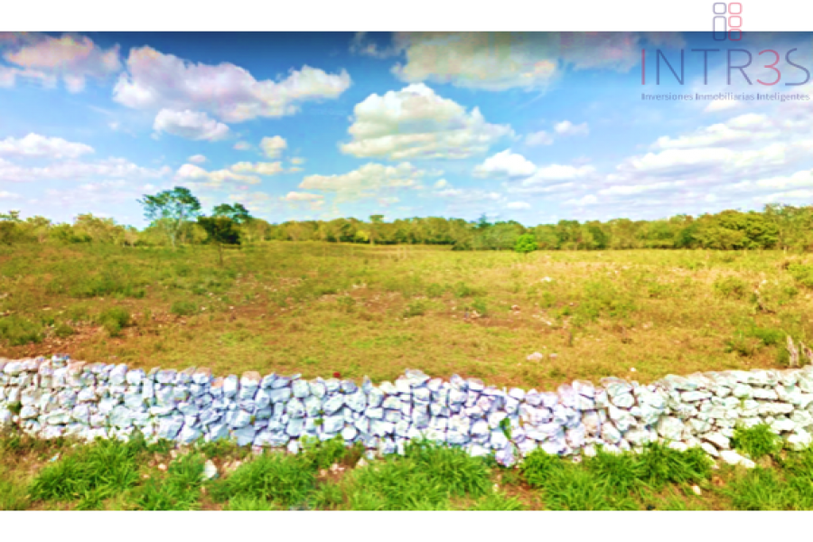 Mérida,Yucatán,México,Chacras-Quintas,TEKANTÓ,2989