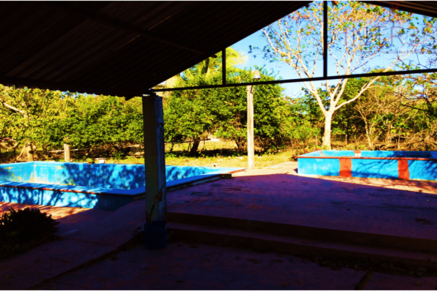 Mérida,Yucatán,México,Chacras-Quintas,TEKANTÓ,2989