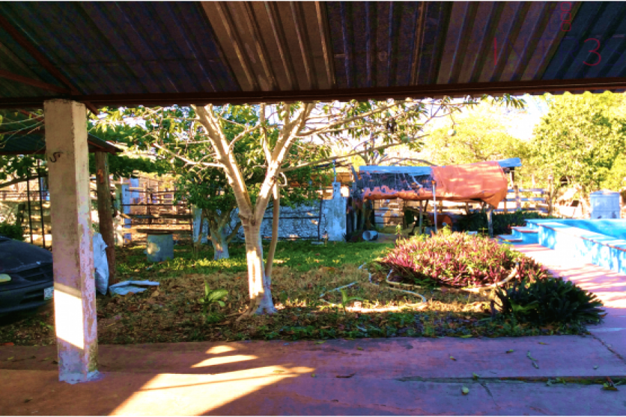 Mérida,Yucatán,México,Chacras-Quintas,TEKANTÓ,2989