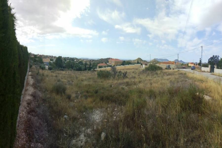 Alicante,Alicante,España,Lotes-Terrenos,22287