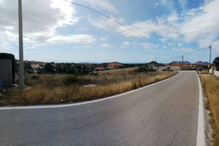Alicante,Alicante,España,Lotes-Terrenos,22287