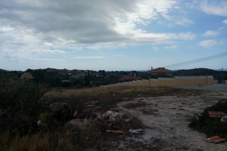 Alicante,Alicante,España,Lotes-Terrenos,22287
