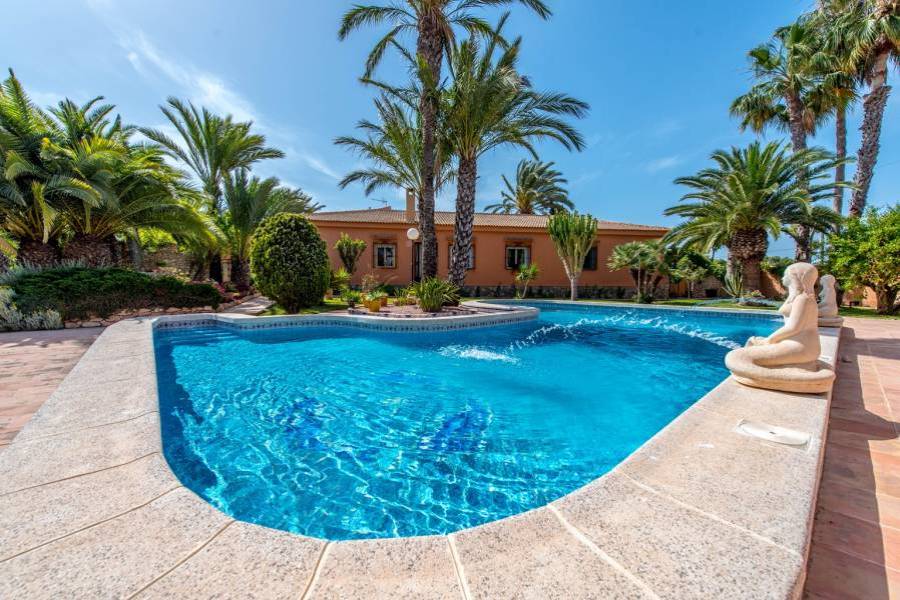 Torrevieja,Alicante,España,5 Bedrooms Bedrooms,3 BathroomsBathrooms,Casas,22342