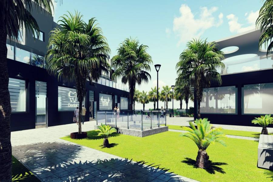 Guardamar del Segura,Alicante,España,1 Dormitorio Bedrooms,1 BañoBathrooms,Apartamentos,22387