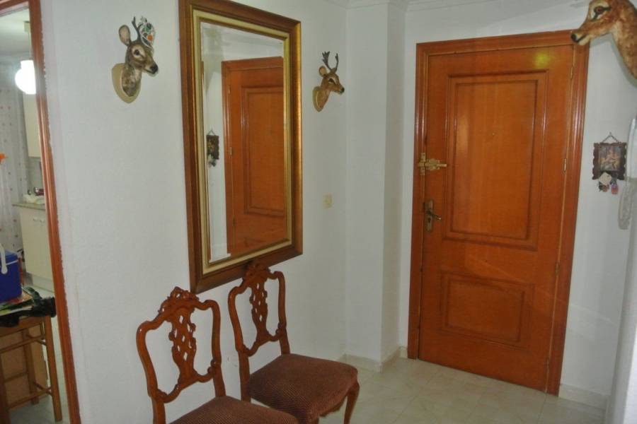 Torrevieja,Alicante,España,3 Bedrooms Bedrooms,1 BañoBathrooms,Apartamentos,22448