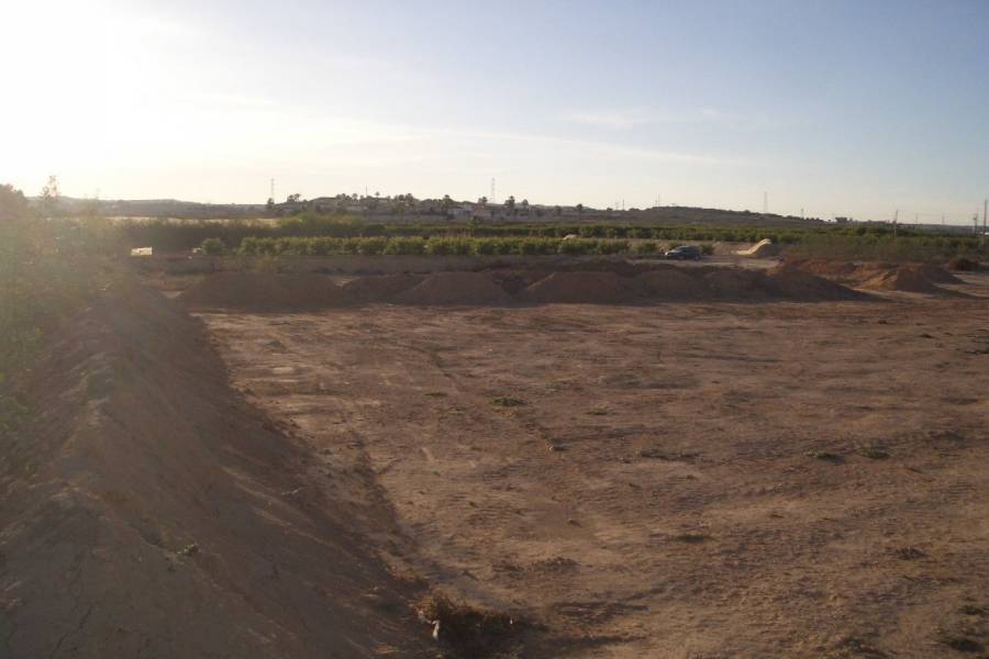 San Miguel de Salinas,Alicante,España,Lotes-Terrenos,22538