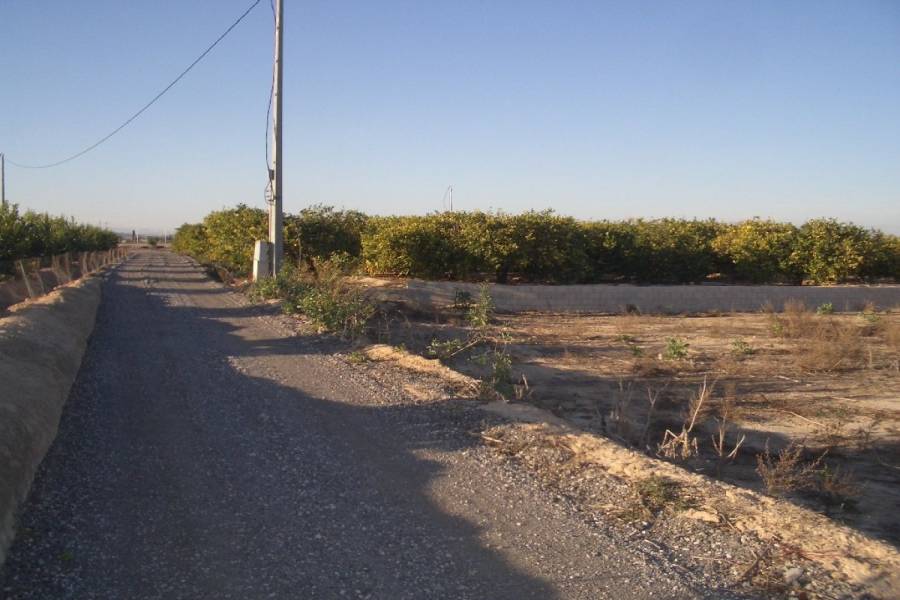 San Miguel de Salinas,Alicante,España,Lotes-Terrenos,22538