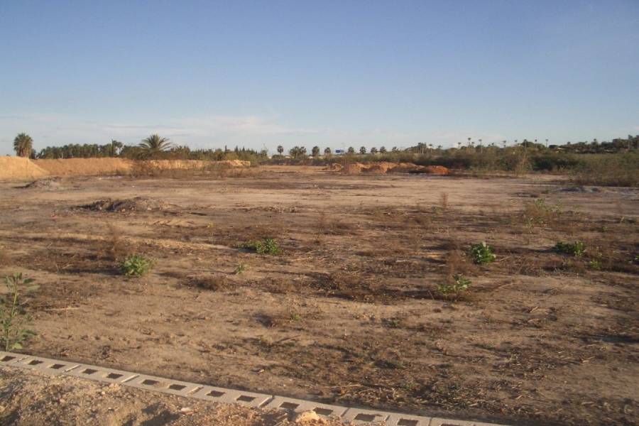San Miguel de Salinas,Alicante,España,Lotes-Terrenos,22538