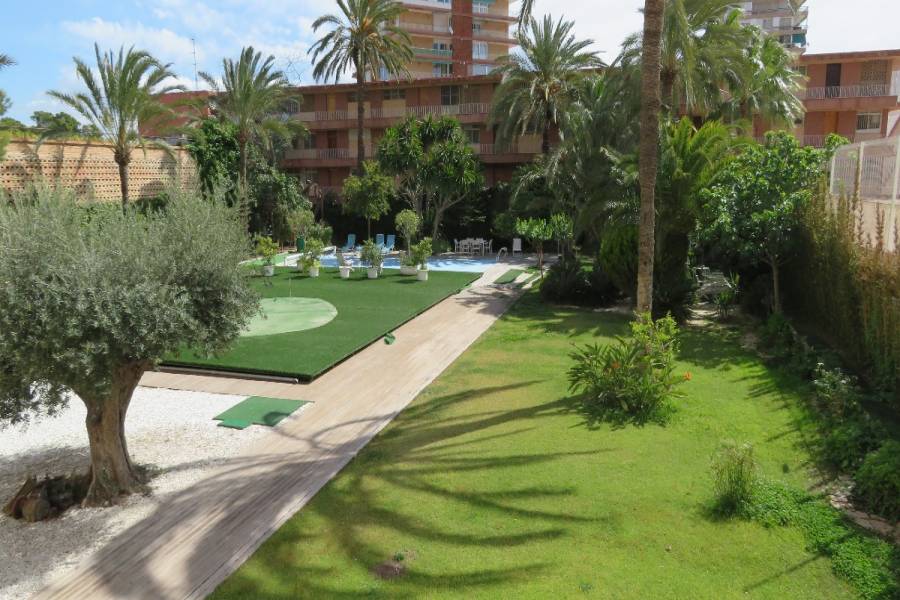 Alicante,Alicante,España,2 Bedrooms Bedrooms,1 BañoBathrooms,Planta baja,24161