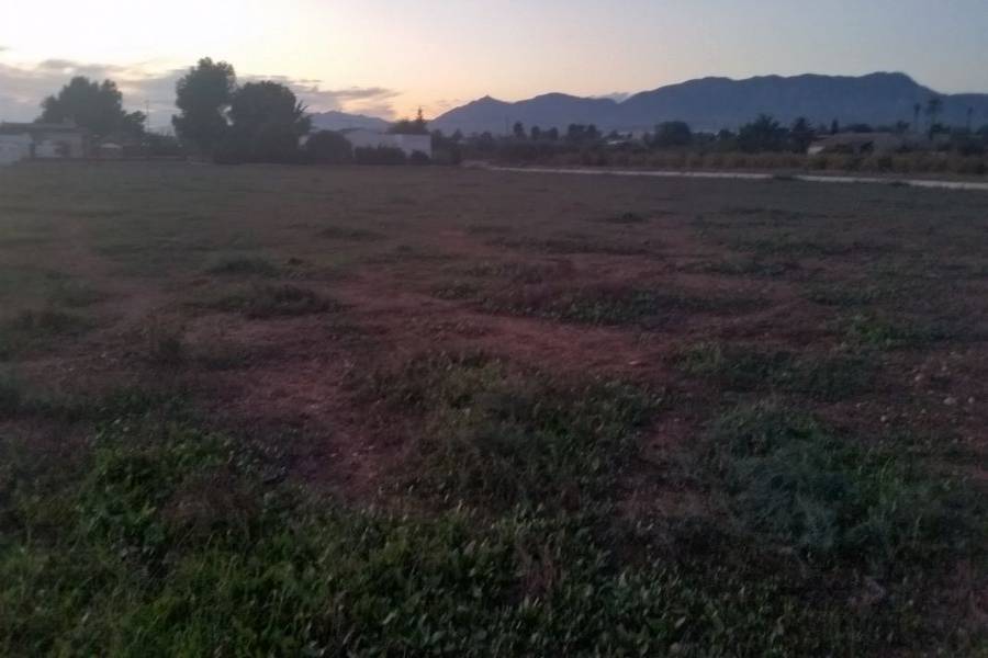 Elche,Alicante,España,Lotes-Terrenos,24202