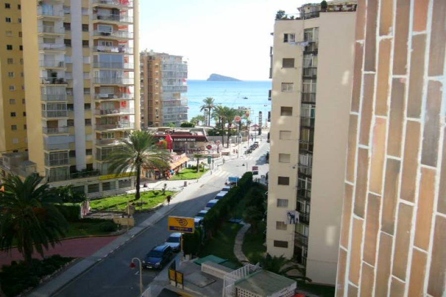 Benidorm,Alicante,España,1 Dormitorio Bedrooms,1 BañoBathrooms,Apartamentos,24224