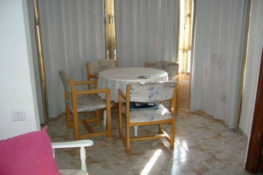 Benidorm,Alicante,España,1 Dormitorio Bedrooms,1 BañoBathrooms,Apartamentos,24224