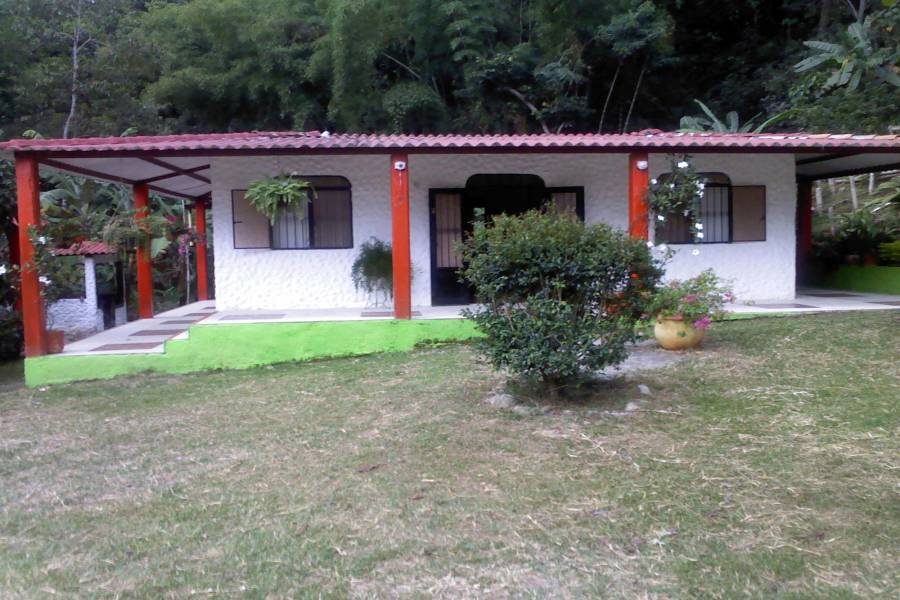 Tolima,Colombia,Campos,Villa del Bosque,Calle 143 cra 43,1,3203