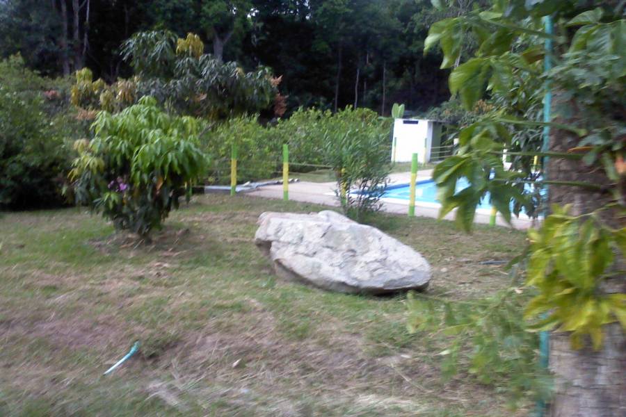 Tolima,Colombia,Campos,Villa del Bosque,Calle 143 cra 43,1,3203