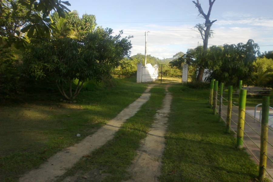 Tolima,Colombia,Campos,Villa del Bosque,Calle 143 cra 43,1,3203
