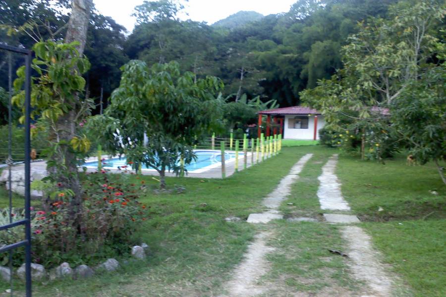Tolima,Colombia,Campos,Villa del Bosque,Calle 143 cra 43,1,3203