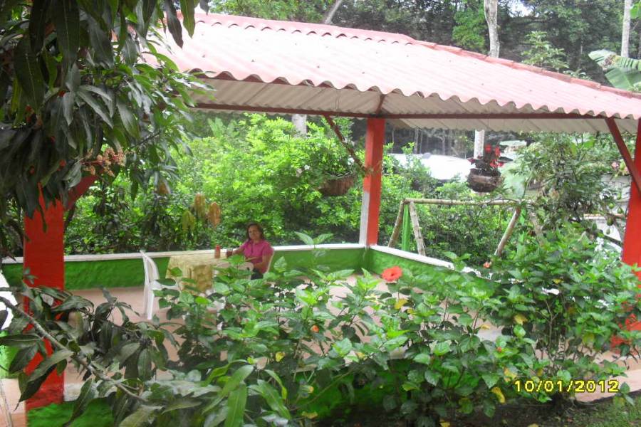 Tolima,Colombia,Campos,Villa del Bosque,Calle 143 cra 43,1,3203