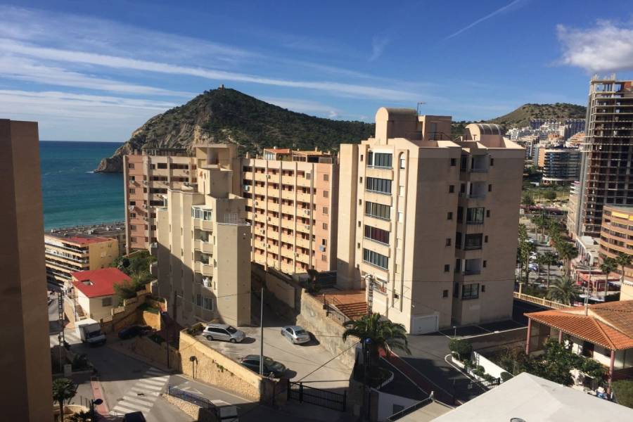 Benidorm,Alicante,España,2 Bedrooms Bedrooms,1 BañoBathrooms,Apartamentos,24227