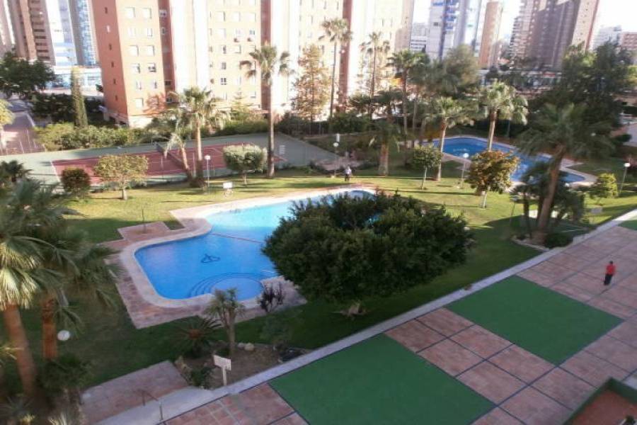 Benidorm,Alicante,España,1 Dormitorio Bedrooms,1 BañoBathrooms,Apartamentos,24243