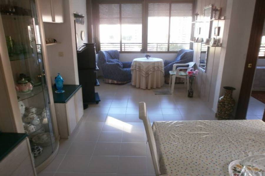 Benidorm,Alicante,España,1 Dormitorio Bedrooms,1 BañoBathrooms,Apartamentos,24243