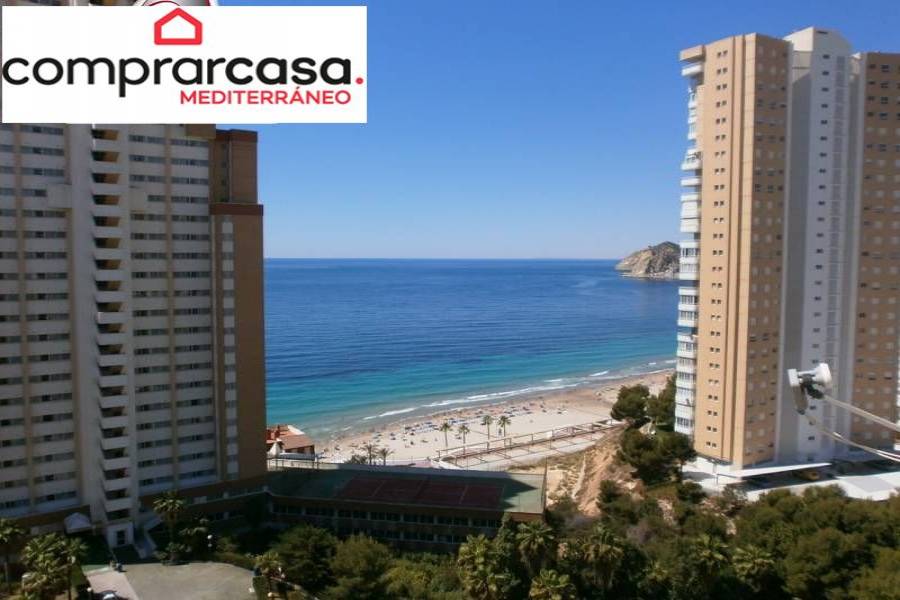 Benidorm,Alicante,España,1 Dormitorio Bedrooms,1 BañoBathrooms,Apartamentos,24252