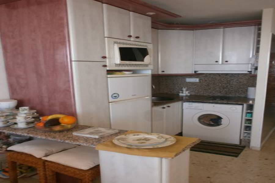 Benidorm,Alicante,España,1 Dormitorio Bedrooms,1 BañoBathrooms,Apartamentos,24260