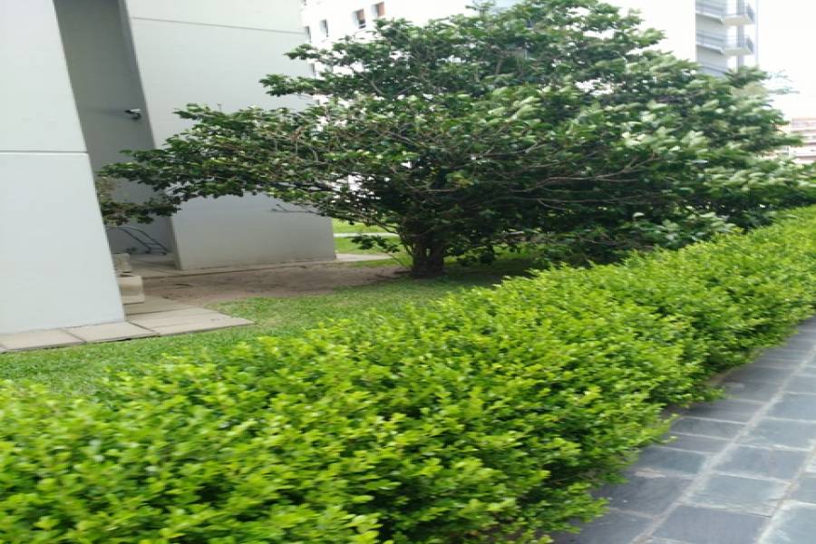 IMPERDIBLE! VEA MAS INFO...,3 Habitaciones Habitaciones,3 BañosBaños,Departamentos,palermo park,Juncal,3,1216