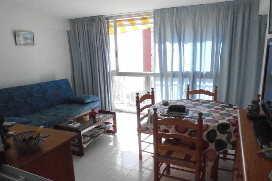 Benidorm,Alicante,España,1 Dormitorio Bedrooms,1 BañoBathrooms,Apartamentos,24265