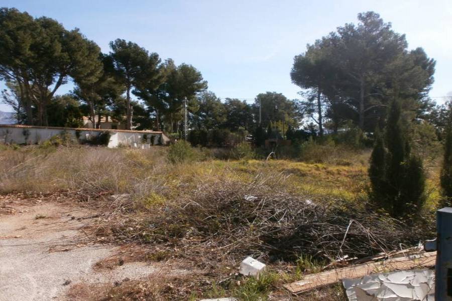 La Nucia,Alicante,España,Lotes-Terrenos,24268