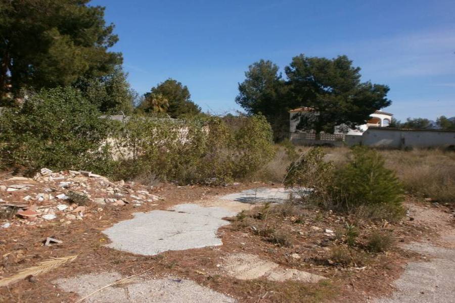 La Nucia,Alicante,España,Lotes-Terrenos,24268