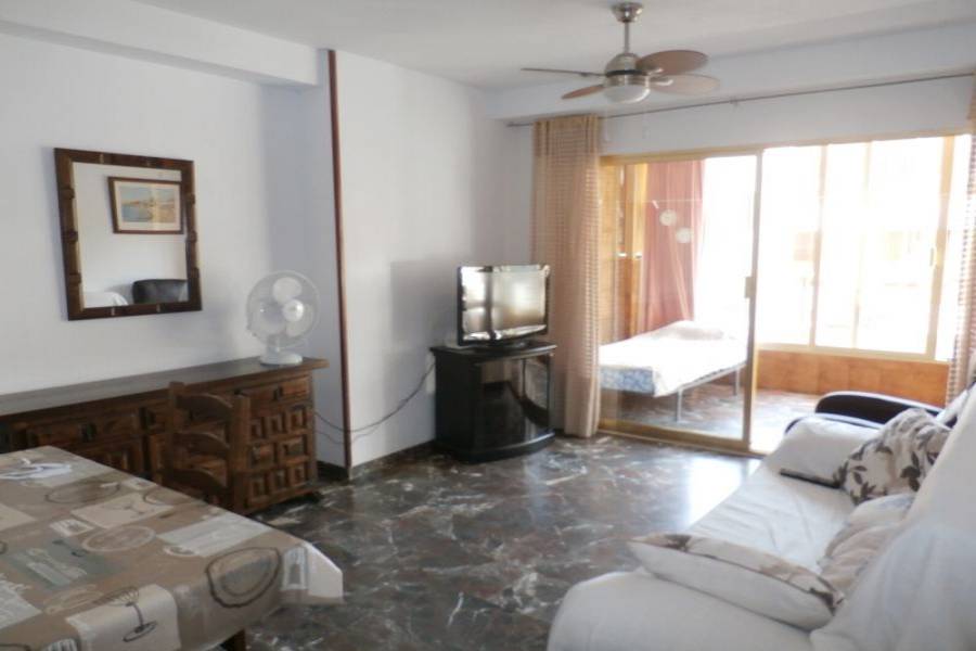 Benidorm,Alicante,España,1 Dormitorio Bedrooms,1 BañoBathrooms,Apartamentos,24269