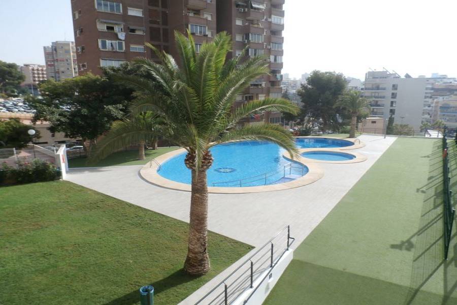 Benidorm,Alicante,España,1 Dormitorio Bedrooms,1 BañoBathrooms,Apartamentos,24269