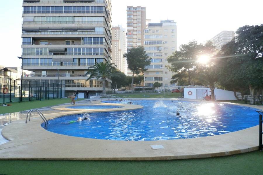 Benidorm,Alicante,España,1 Dormitorio Bedrooms,1 BañoBathrooms,Apartamentos,24270