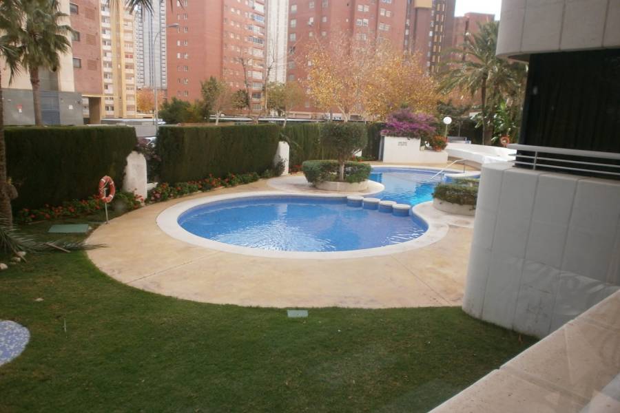 Benidorm,Alicante,España,1 Dormitorio Bedrooms,1 BañoBathrooms,Apartamentos,24288