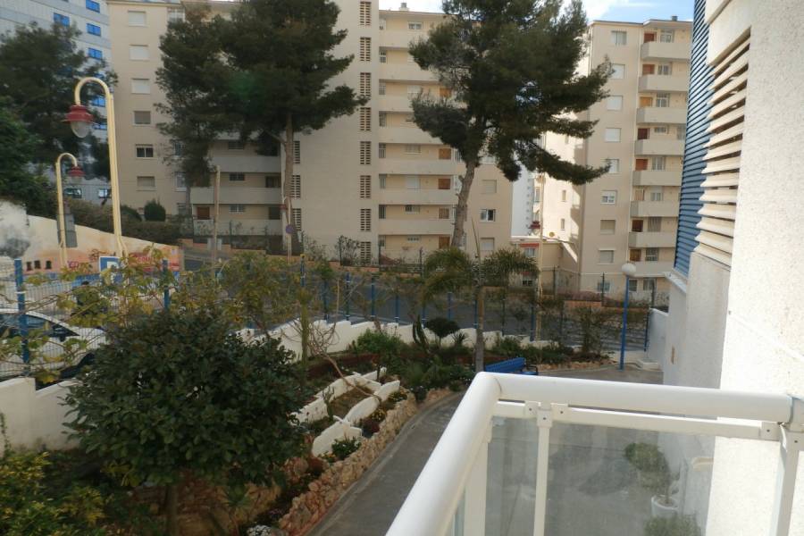 Benidorm,Alicante,España,1 Dormitorio Bedrooms,1 BañoBathrooms,Apartamentos,24296