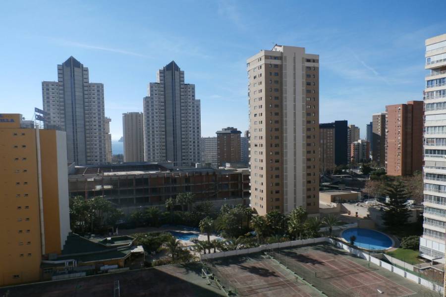 Benidorm,Alicante,España,2 Bedrooms Bedrooms,1 BañoBathrooms,Apartamentos,24302