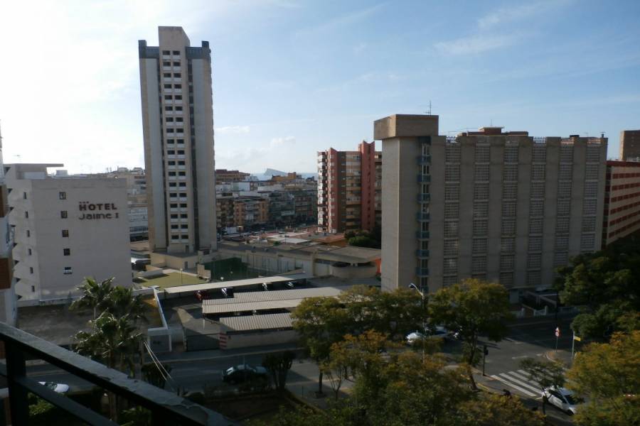 Benidorm,Alicante,España,1 Dormitorio Bedrooms,1 BañoBathrooms,Apartamentos,24304