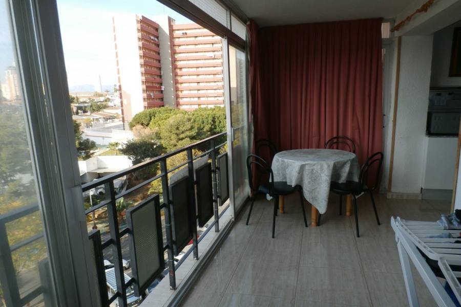 Benidorm,Alicante,España,1 Dormitorio Bedrooms,1 BañoBathrooms,Apartamentos,24304