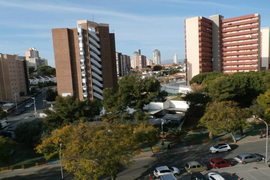 Benidorm,Alicante,España,1 Dormitorio Bedrooms,1 BañoBathrooms,Apartamentos,24304