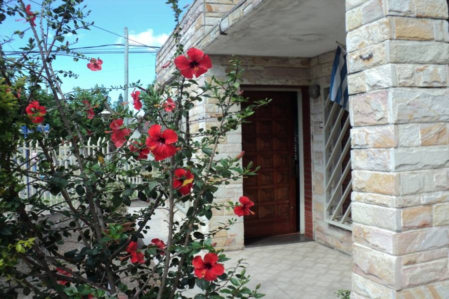 Aldo Bonzi,Buenos Aires,Argentina,1 BañoBaños,Casas,Campion,3210
