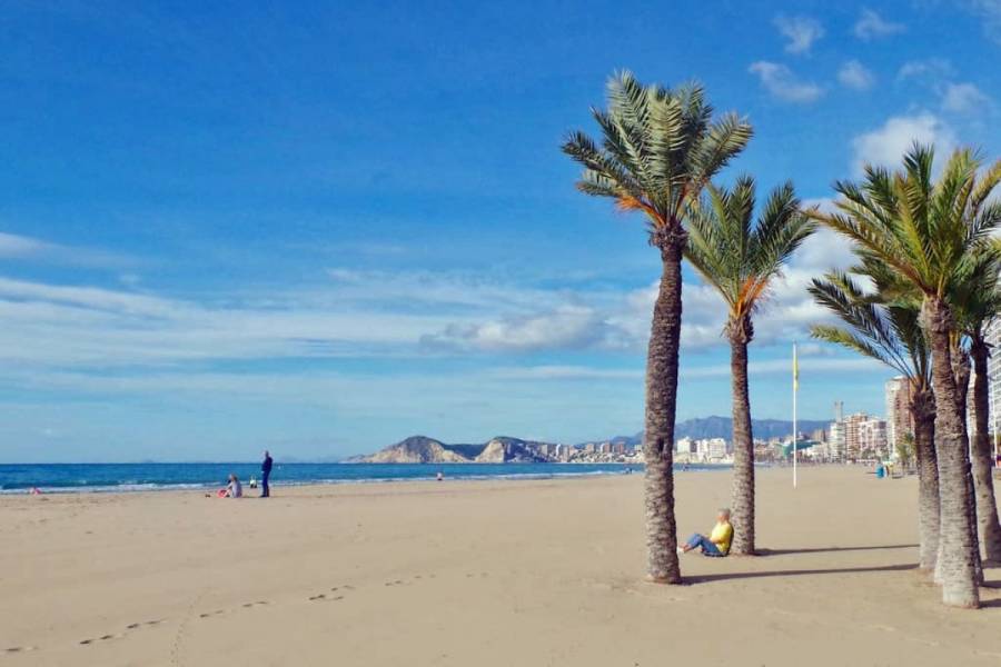 Benidorm,Alicante,España,2 Bedrooms Bedrooms,1 BañoBathrooms,Apartamentos,24311