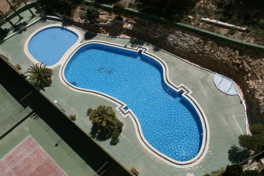 Benidorm,Alicante,España,1 Dormitorio Bedrooms,1 BañoBathrooms,Apartamentos,24336
