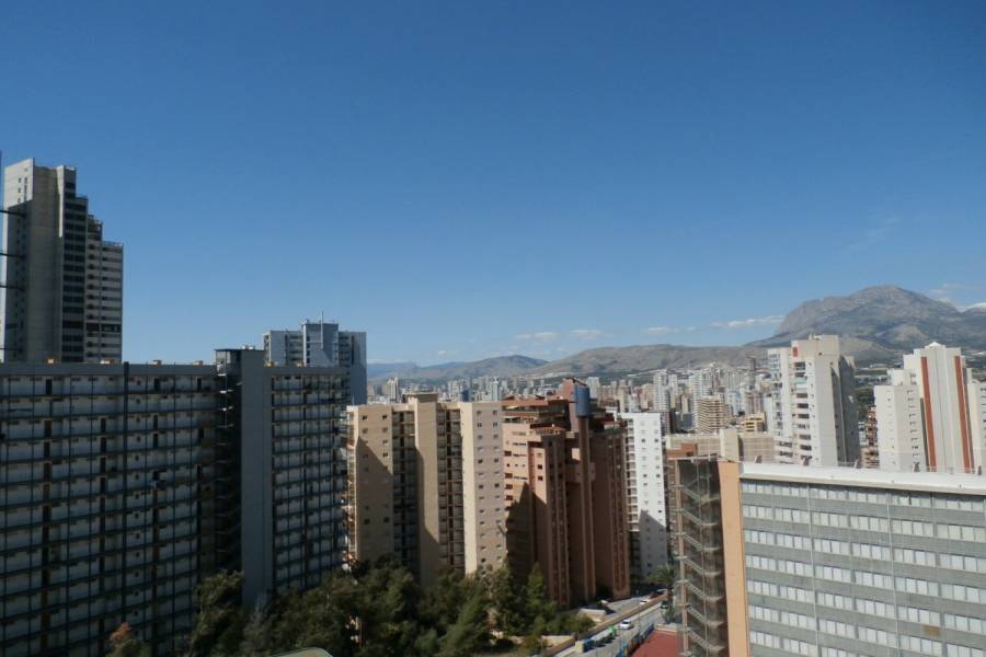 Benidorm,Alicante,España,1 Dormitorio Bedrooms,1 BañoBathrooms,Apartamentos,24336